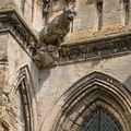   Gargouille de la Cathédrale de Bayeux