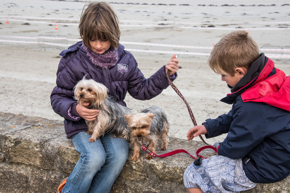  JJC9572 les Enfants et leurs chiens-Trestel 2013