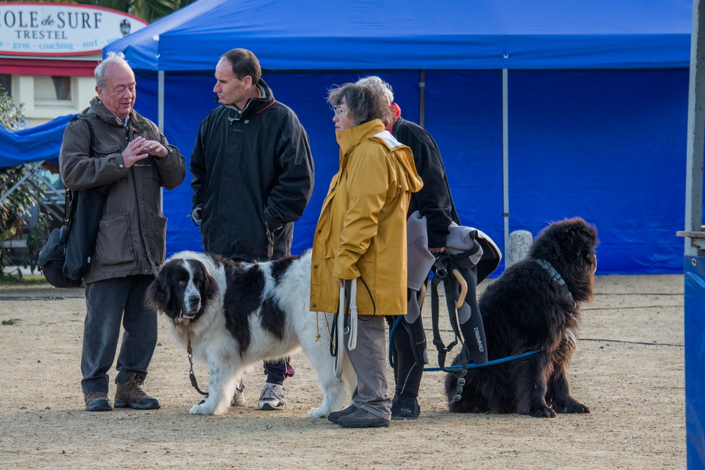  JJC9574 chiens de sauvetage Trestel 2013