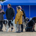  JJC9574 chiens de sauvetage Trestel 2013