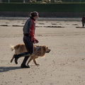  JJC9617 chiens de sauvetage Trestel 2013