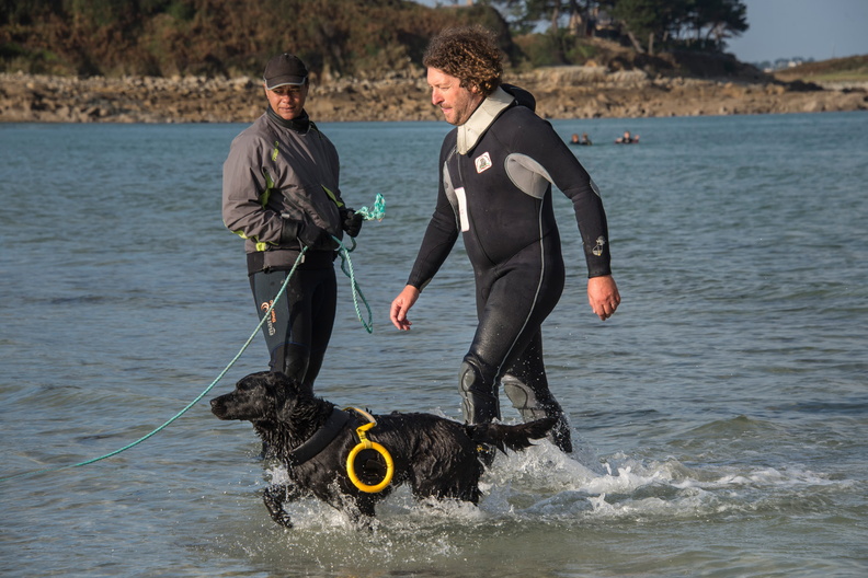  JJC9621 chiens de sauvetage Trestel 2013