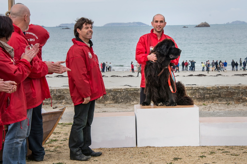  JJC9694 Chien de sauvetage sur le podiumTrestel 2013