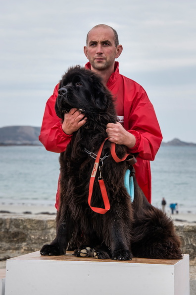 _JJC9700 chien de sauvetage Trestel 2013.jpg