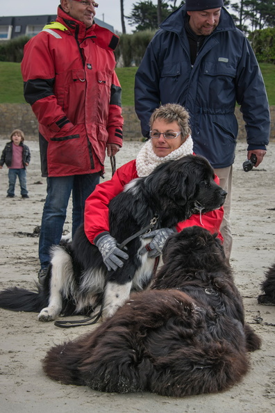  JJC9657 chiens de sauvetage Trestel 2013