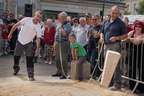  JJC2272-Dom Lanceur de menhir