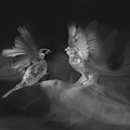  1012180-01-04-bis-3-