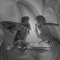  1014439-01-02-