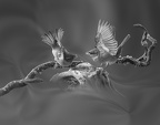  1015906-01-02-