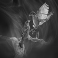  1017307-01-02-03-04-