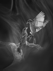  1017307-01-02-03-04-