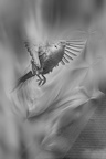  JAC0164-01-02-03-
