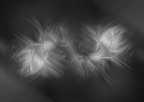  JAC0171-001-04-05-