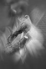  JJC1534-001-02--Modifier
