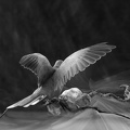  1013473-01-02-