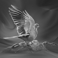  1013493-01-02-
