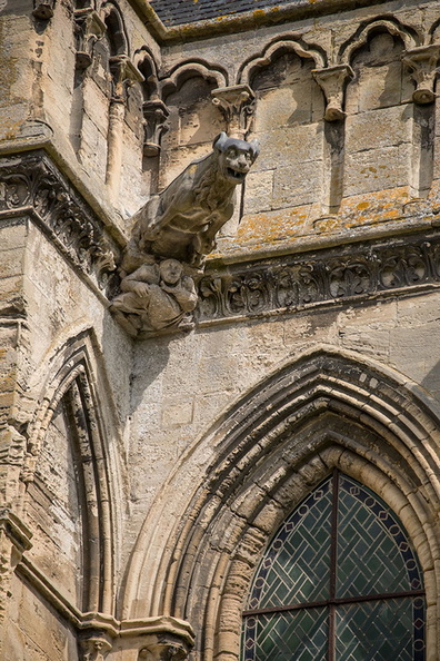   Gargouille de la Cathédrale de Bayeux