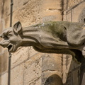   Gargouille de la Cathédrale de Bayeux