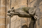   Gargouille de la Cathédrale de Bayeux