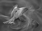  1006976-01-02-