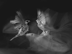  1012180-01-04-bis-3-