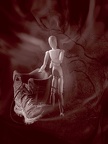  1015336-copie sanguine-01-