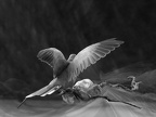  1013473-01-02-