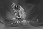  1013493-01-02-